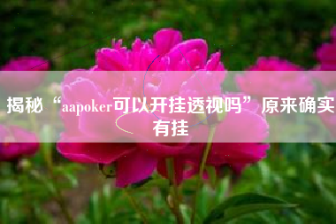 揭秘“aapoker可以开挂透视吗”原来确实有挂