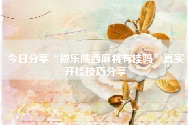 今日分享“微乐陕西麻将有挂吗”真实开挂技巧分享