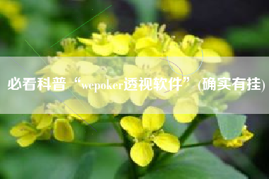 必看科普“wepoker透视软件	”(确实有挂)