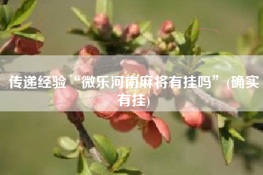 传递经验“微乐河南麻将有挂吗	”(确实有挂)