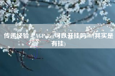 传递经验“AGPoker可以开挂吗”(其实是有挂)
