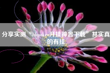 分享实测“hhpoker开挂神器下载”其实真的有挂