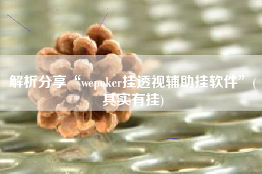 解析分享“wepoker挂透视辅助挂软件”(其实有挂)
