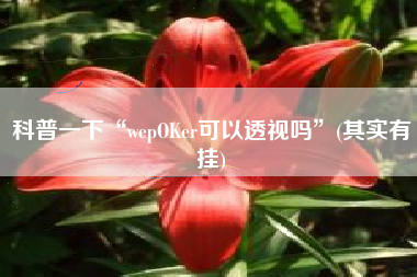 科普一下“wepOKer可以透视吗”(其实有挂)
