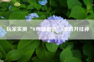 玩家实测“WPK辅助器	”(必胜开挂神