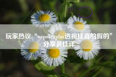 玩家热议“wepokerplus透视挂真的假的”分享装挂详