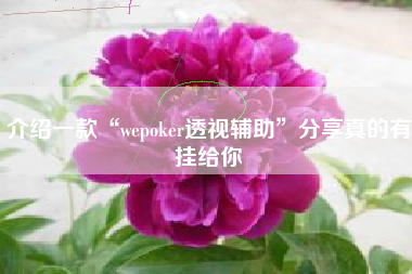介绍一款“wepoker透视辅助”分享真的有挂给你