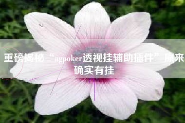 重磅揭秘“agpoker透视挂辅助插件	”原来确实有挂