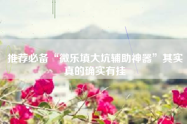 推荐必备“微乐填大坑辅助神器	”其实真的确实有挂