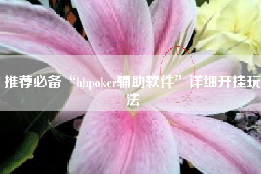 推荐必备“hhpoker辅助软件”详细开挂玩法