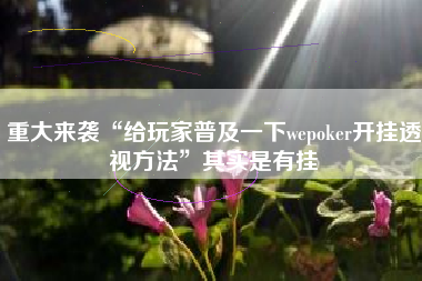重大来袭“给玩家普及一下wepoker开挂透视方法”其实是有挂