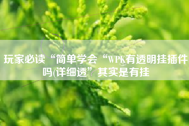 玩家必读“简单学会“WPK有透明挂插件吗(详细透”其实是有挂