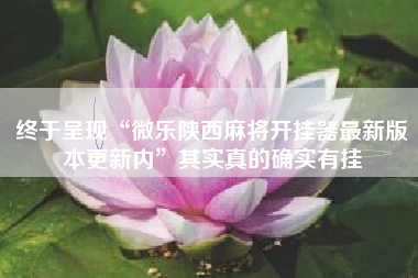 终于呈现“微乐陕西麻将开挂器最新版本更新内	”其实真的确实有挂