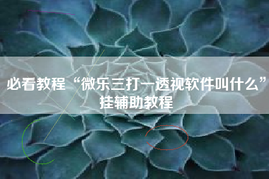 必看教程“微乐三打一透视软件叫什么”挂辅助教程