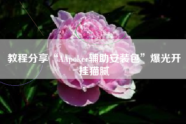 教程分享“AApoker辅助安装包	”爆光开挂猫腻