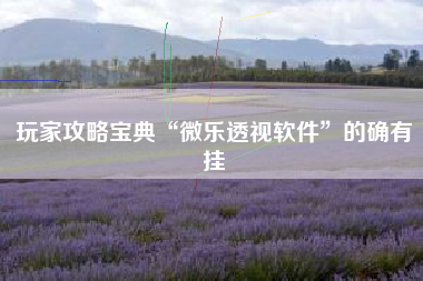 玩家攻略宝典“微乐透视软件”的确有挂