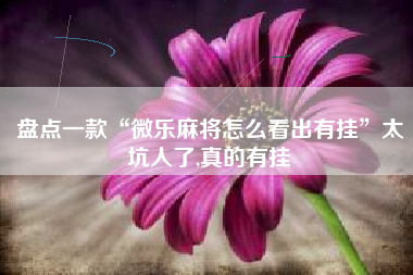 盘点一款“微乐麻将怎么看出有挂”太坑人了,真的有挂