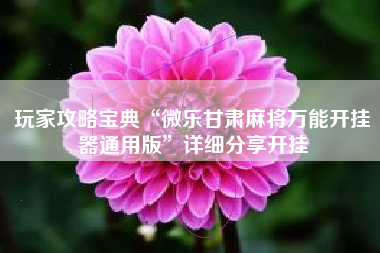 玩家攻略宝典“微乐甘肃麻将万能开挂器通用版”详细分享开挂