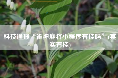 科技通报“雀神麻将小程序有挂吗”(其实有挂)