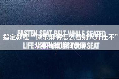 指定教程“微乐麻将怎么看别人开挂不”分享装挂详细步骤