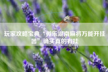 玩家攻略宝典“微乐湖南麻将万能开挂器”确实真的有挂