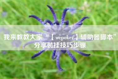 我来教教大家“【wepoker】辅助器脚本	”分享装挂技巧步骤
