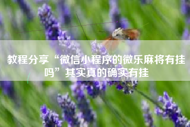 教程分享“微信小程序的微乐麻将有挂吗	”其实真的确实有挂