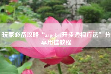 玩家必备攻略“aapoker开挂透视方法”分享用挂教程