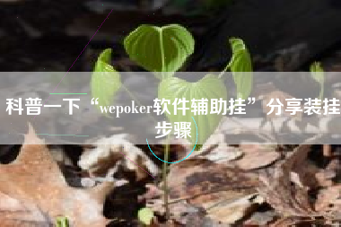 科普一下“wepoker软件辅助挂”分享装挂步骤