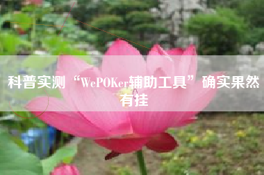 科普实测“WePOKer辅助工具”确实果然有挂