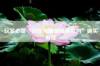 玩家必备“微扑克辅助器有用吗”确实有挂