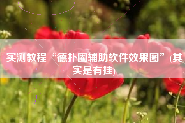 实测教程“德扑圈辅助软件效果图	”(其实是有挂)