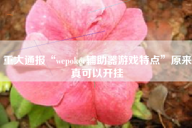 重大通报“wepoker辅助器游戏特点”原来真可以开挂