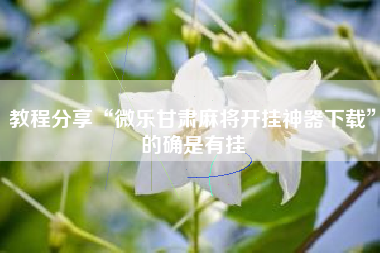 教程分享“微乐甘肃麻将开挂神器下载	”的确是有挂