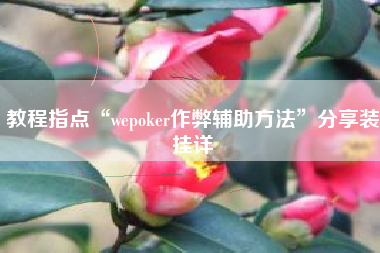 教程指点“wepoker作弊辅助方法”分享装挂详