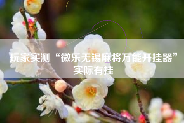 玩家实测“微乐无锡麻将万能开挂器	”实际有挂