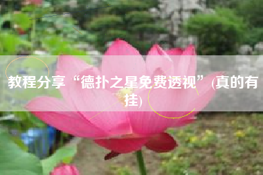 教程分享“德扑之星免费透视”(真的有挂)