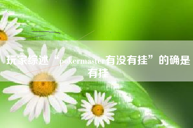 玩家综述“pokermaster有没有挂”的确是有挂