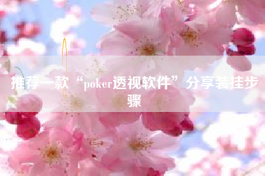 推荐一款“poker透视软件	”分享装挂步骤
