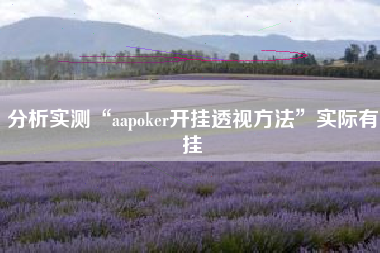 分析实测“aapoker开挂透视方法”实际有挂